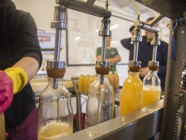 Mosten von Apfelsaft | Foto: Hendrik Silbermann (ARTWORKs) Flaschen werden in der Mosterei mit Apfelsaft gefüllt. | Foto: Hendrik Silbermann (ARTWORKs)