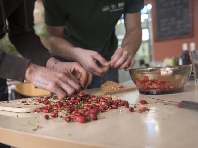 Rezeptwerkstatt | Foto: Hendrik Silbermann (ARTWORKs) Rezeptwerkstatt, Jugendliche kochen und schneiden Obst. | Foto: Foto: Hendrik Silbermann (ARTWORKs)
